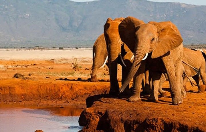 Tsavo West Safari | Daydream Safaris | Kenya Safari Tours