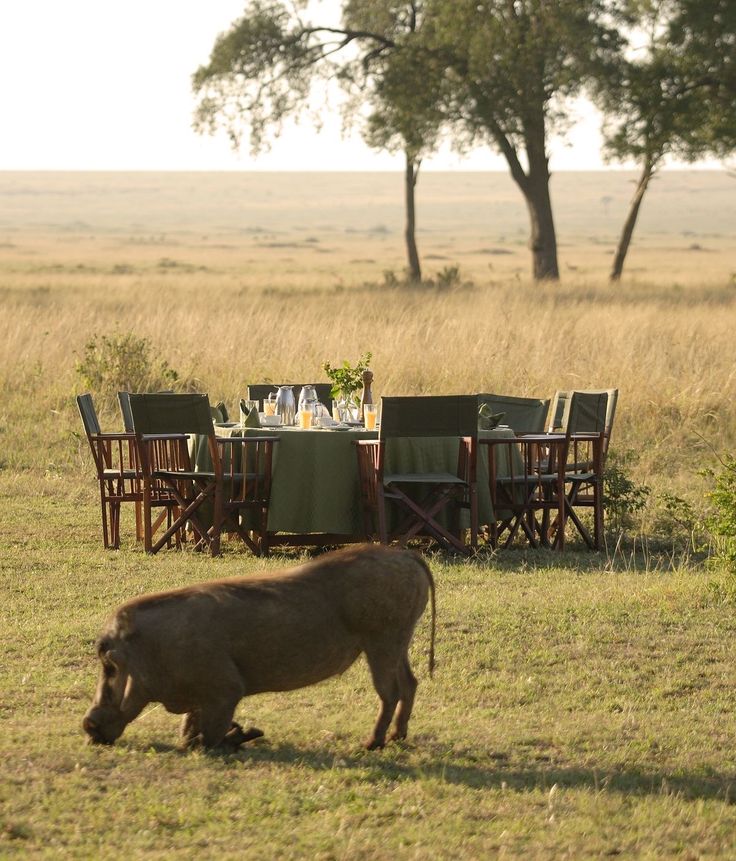 Serengeti National Park | Daydream Safaris | Tanzania Safaris | Combined Kenya Tanzania Safari | Kenya Tanzania Safaris