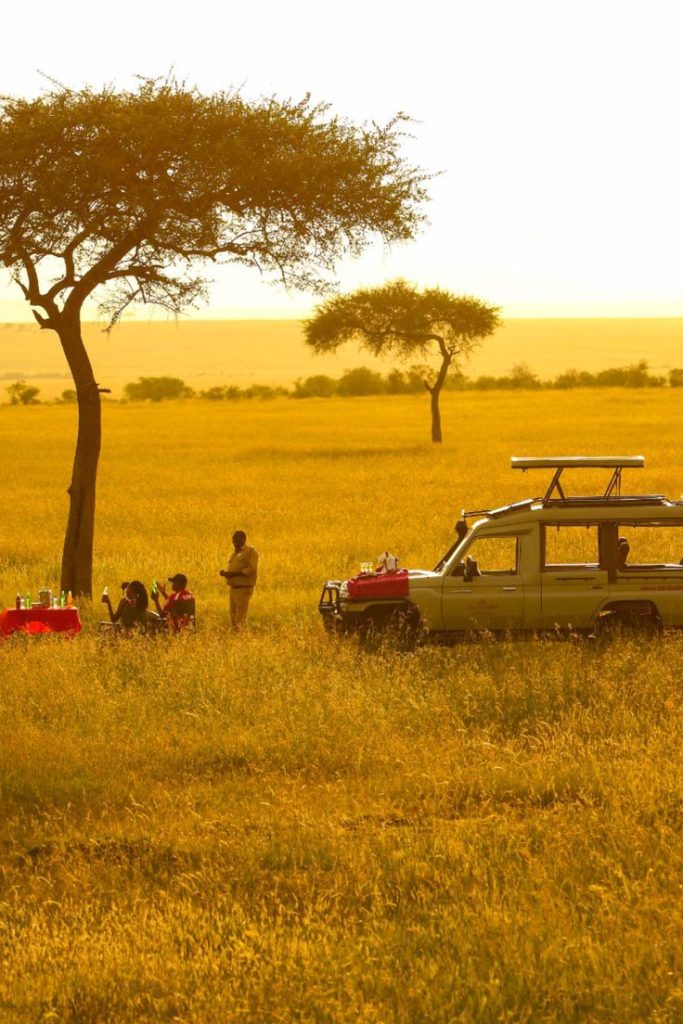Serengeti National Park | Daydream Safaris | Tanzania Safaris