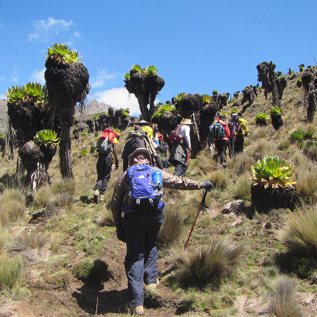 Climb Mount Kenya | Chogoia Route