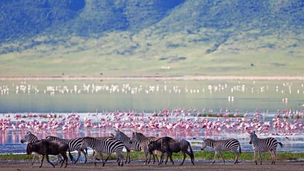 Ngorongoro Crater | 7-Day Kenya & Tanzania Safari
