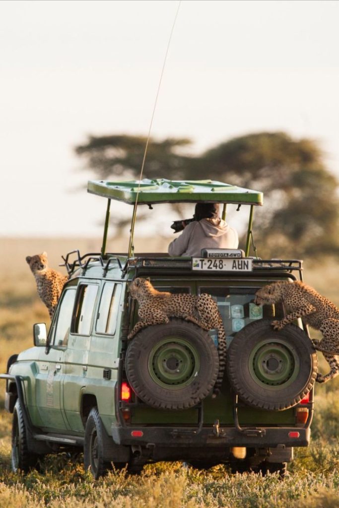 8-Day Kenya & Tanzania Safari | Kenya Tanzania Safaris