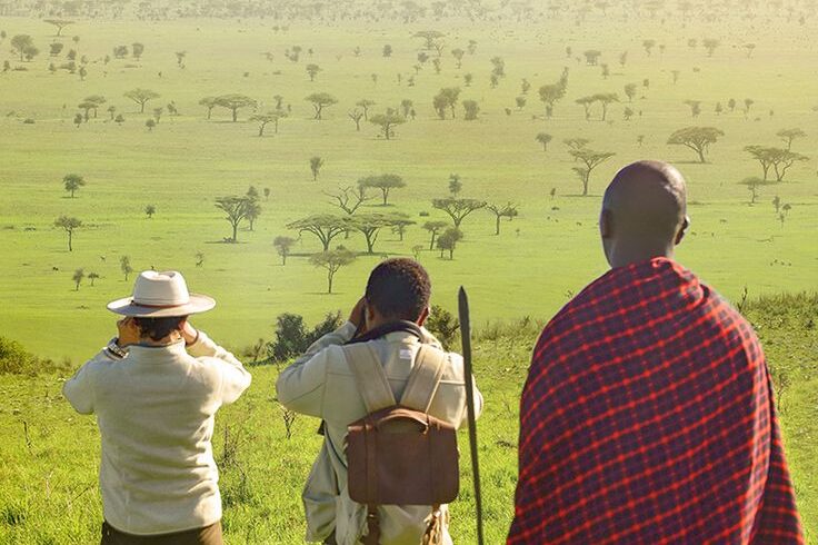 walking safari