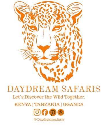 Daydream Safaris Spanish