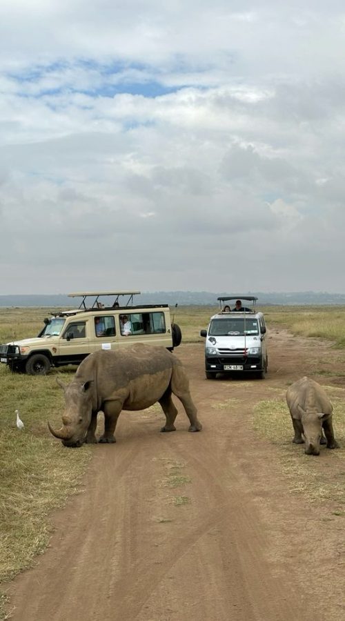 Nairobi Day Trip