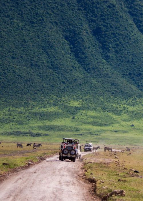 Ngorongoro Crater | Daydream Safaris | Tanzania Safari | Combined Kenya Tanzania Safari