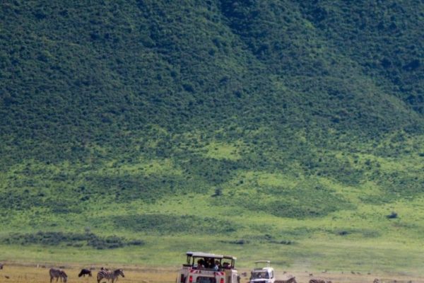 Ngorongoro Crater | Daydream Safaris | Tanzania Safari | Combined Kenya Tanzania Safari