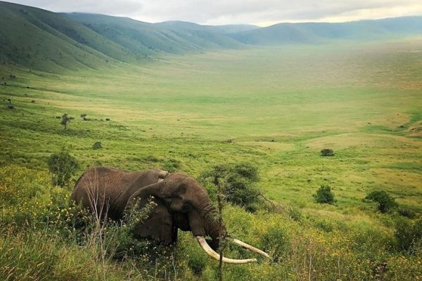 Ngorongoro Crater | Daydream Safaris | Tanzania Safaris Tours
