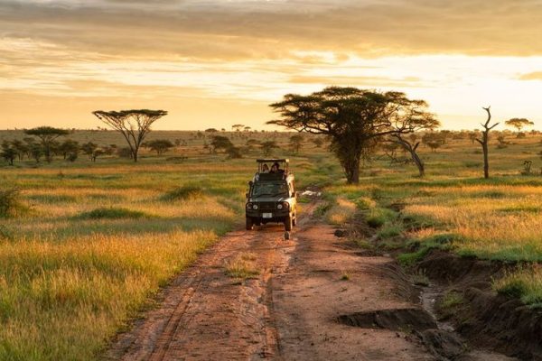 5-day Masai Mara & Serengeti Safari | Serengeti Safari | Tanzania Safari