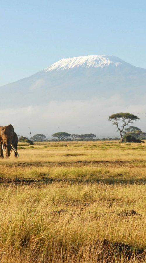 3 days Amboseli Safari | 8-day Kenya Diani Safari | Amboseli Day Trip