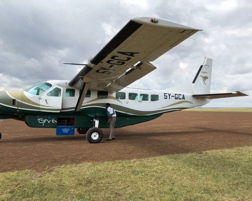 Kenya Fly Safaris | Masai Mara flight Safari | Daydream Safaris
