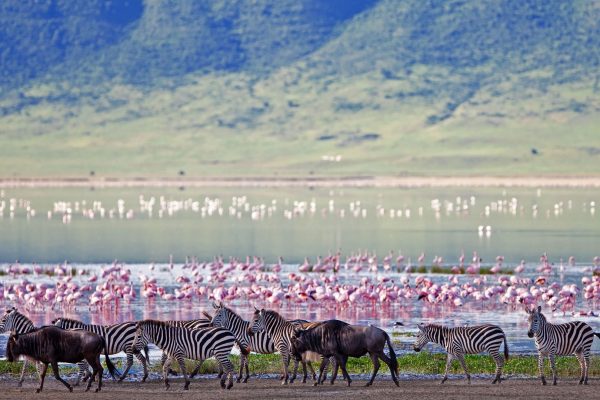 Ngorongoro Crater | 7-Day Kenya & Tanzania Safari