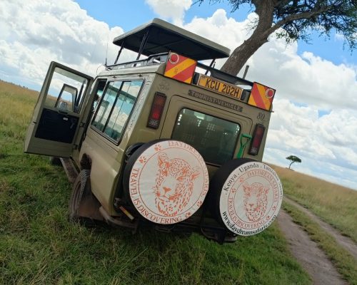 Masai Mara Safari | Daydream Safaris | Kenya Safaris