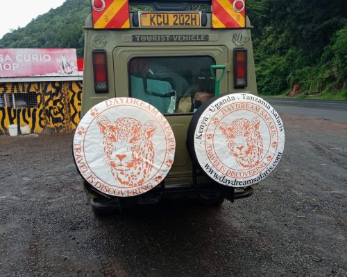 Masai Mara Safari | Daydream Safaris | Kenya Safaris