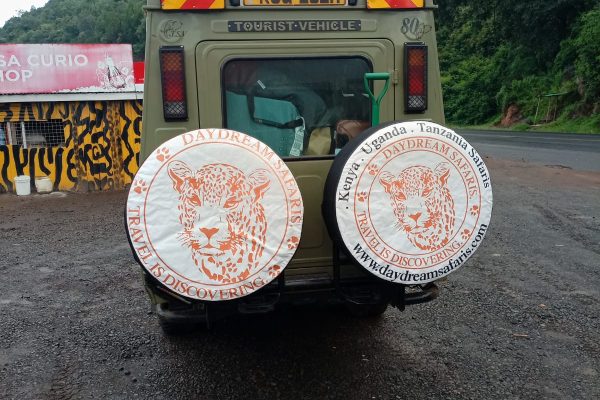 Masai Mara Safari | Daydream Safaris | Kenya Safaris