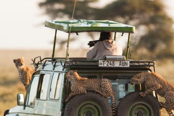 8-Day Kenya & Tanzania Safari | Kenya Tanzania Safaris
