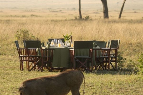 Serengeti National Park | Daydream Safaris | Tanzania Safaris | Combined Kenya Tanzania Safari | Kenya Tanzania Safaris