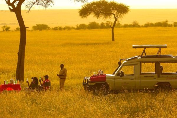 Serengeti National Park | Daydream Safaris | Tanzania Safaris