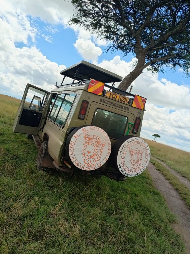 Masai Mara Safari | Daydream Safaris | Kenya Safaris